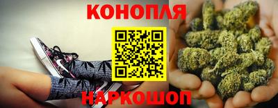сатива Тулун