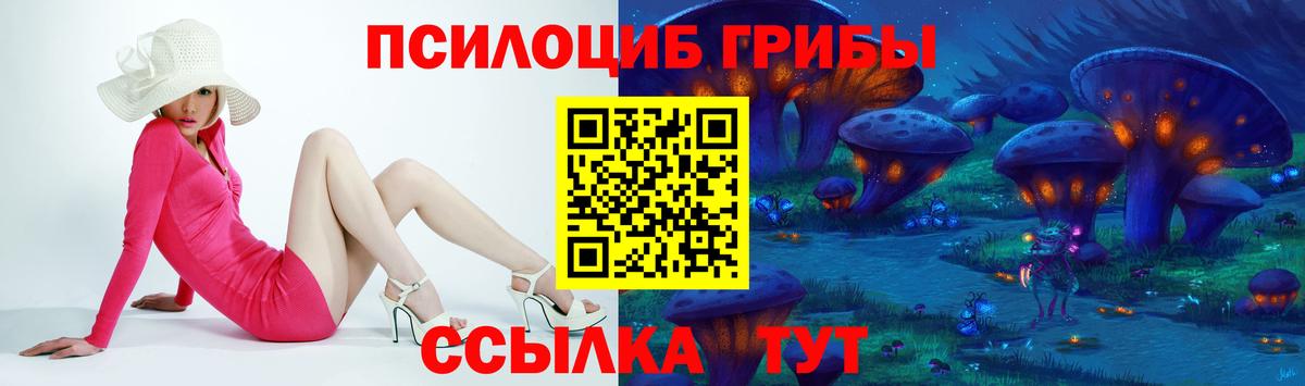Нижний Тагил  Галлюциногенные грибы Psilocybine cubensis  Вход с VPN 